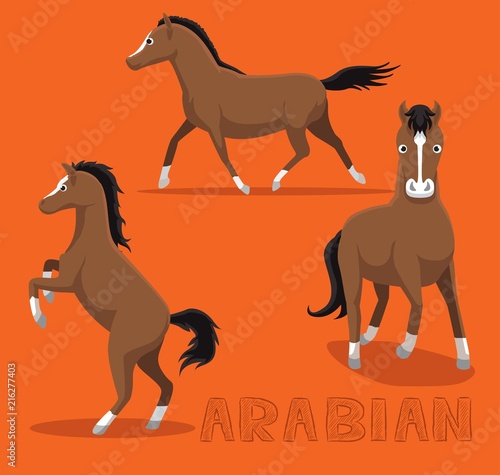 Horse Arabian Cartoon Vector Illustration