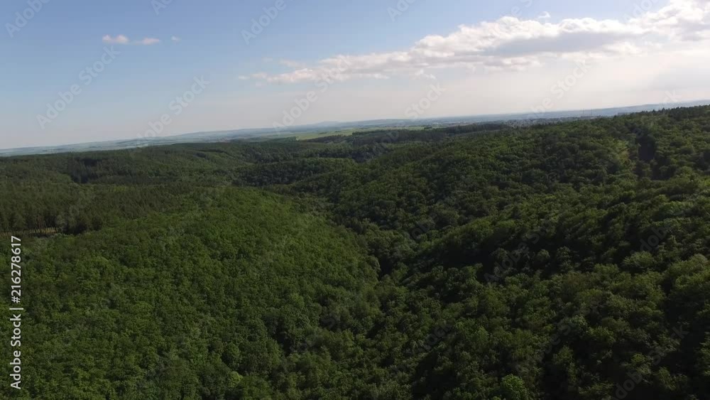 Aerial top view of summer green trees in forest. Aerial top view of summer green trees in forest.