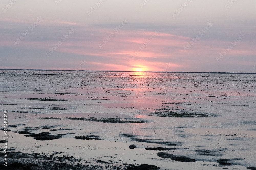 Naklejka premium sea, Netherlands, noardsea, nature