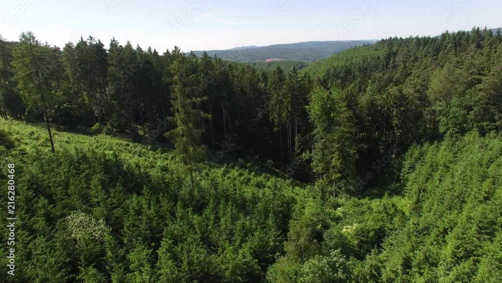 Aerial top view of summer green trees in forest. Aerial top view of summer green trees in forest.