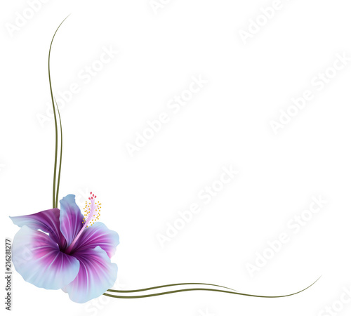 Realistic violet hibiscus frame, corner.