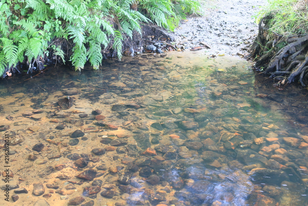 Sommer in Ritterhude im Heerweger Moor