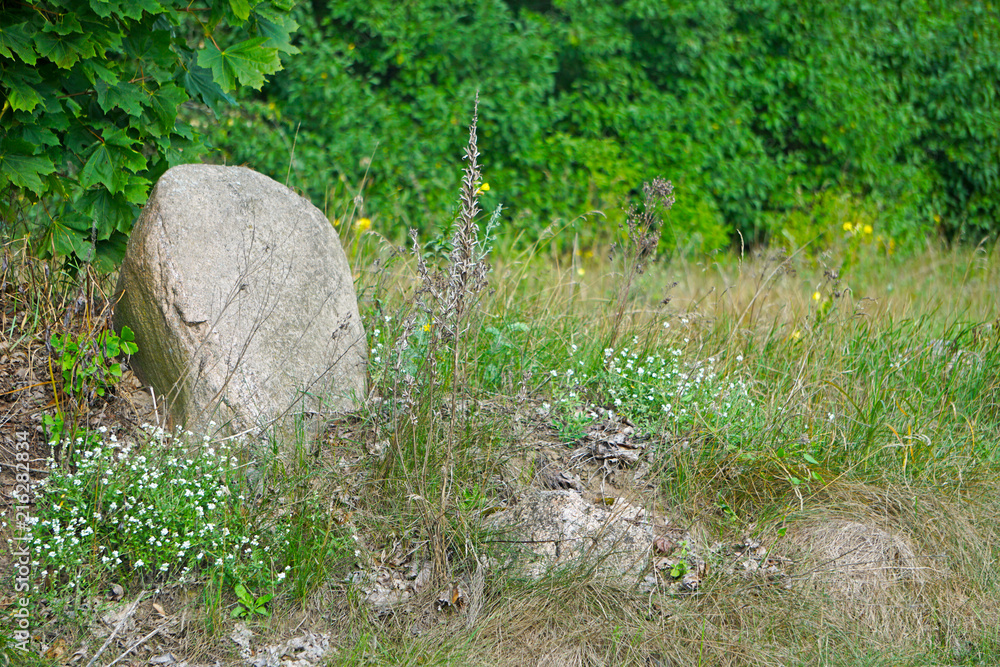 A large stone stands in the backyard in the garden A large stone stands in the backyard in the garden