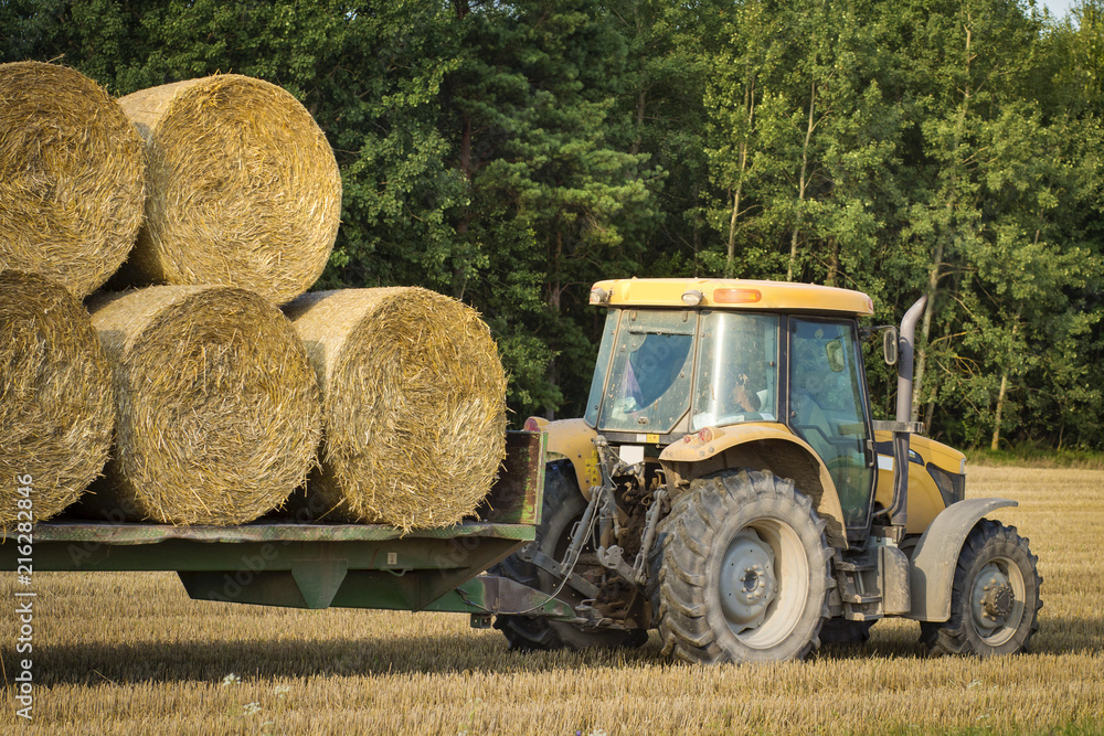 Φωτογραφία An agricultural tractor moves a bales of hay in a trailer on the field after harvesting grain crops
