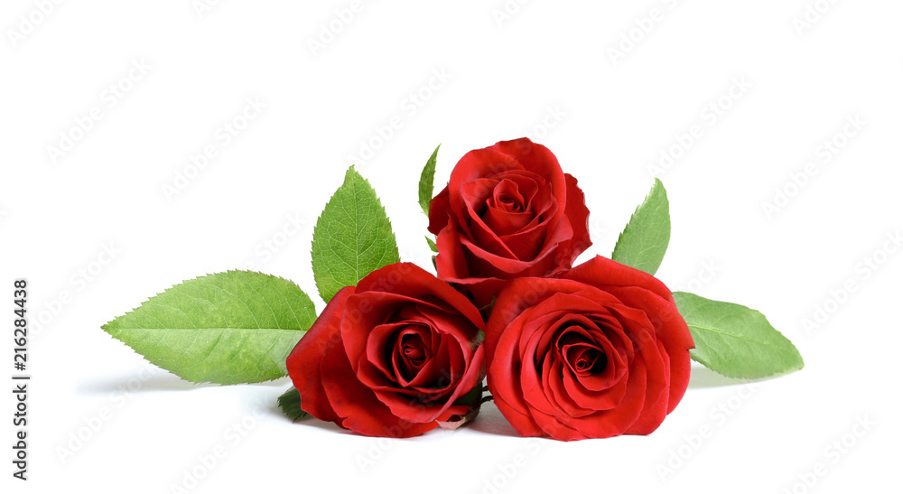 Naklejka premium Beautiful red rose flowers on white background