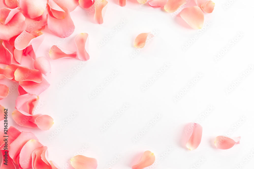 Naklejka premium Piękne płatki róż na białym tle