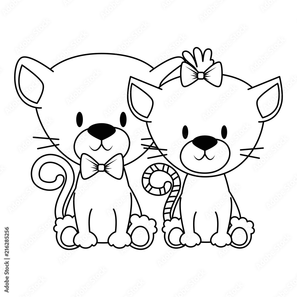 cute and adorable kitties couple characters cute and adorable kitties couple characters