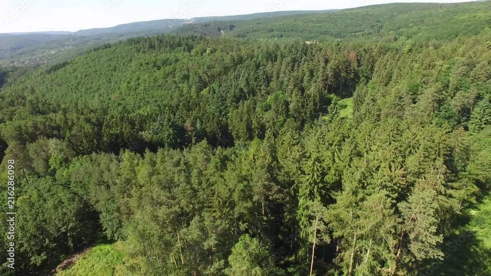 Aerial top view of summer green trees in forest. Aerial top view of summer green trees in forest.