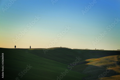 Rolling Hills, Cypress Trees, and Minimalism