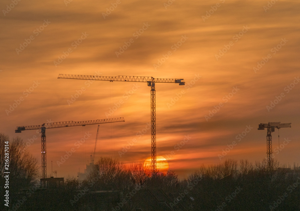 Cranes at Sunset