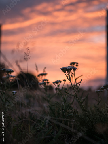 abendrot