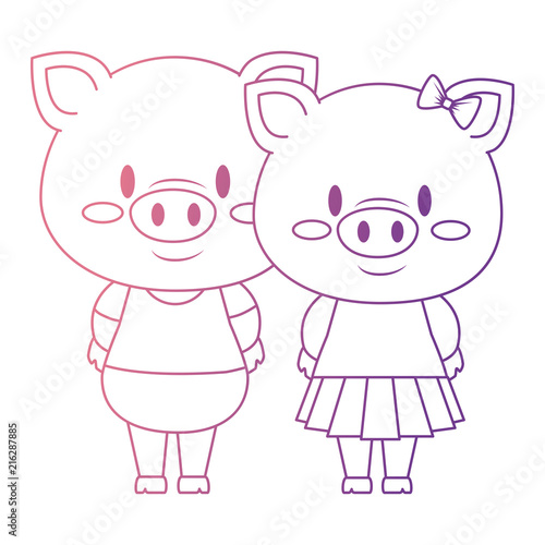 cute and adorable couple piggy characters