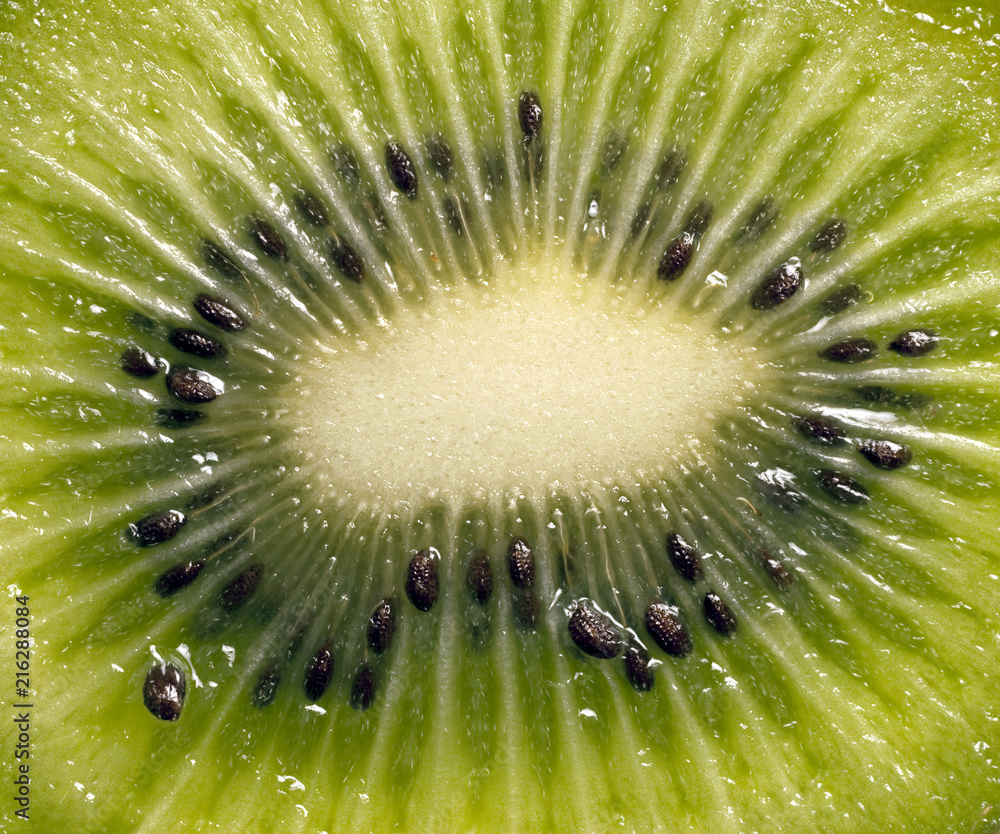 kiwi / cross section of kiwi fruit with seeds kiwi / cross section of kiwi fruit with seeds