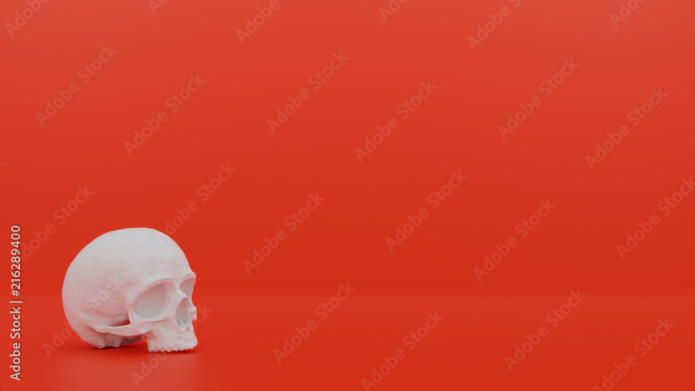 Fototapeta premium White skull on a red background. 3D. Render.