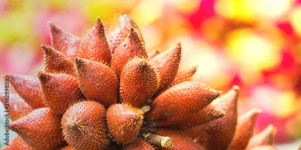 Fototapeta premium Red salacca wallichiana, delicious Thai fruit