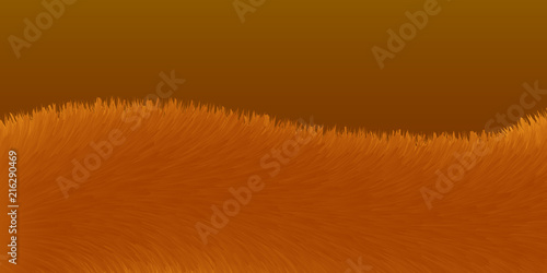 Fox fur vector icon.