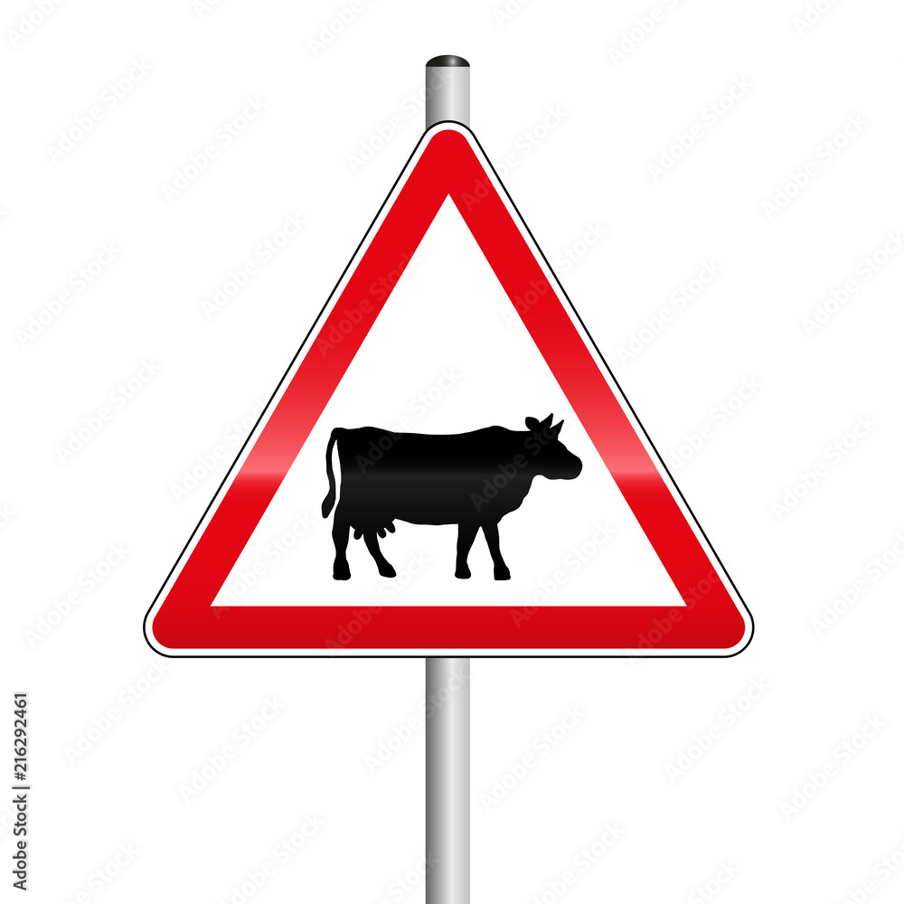 Caution, cow or cattle herd crossing the street. Traffic sign. Isolated on white. Caution, cow or cattle herd crossing the street. Traffic sign. Isolated on white.