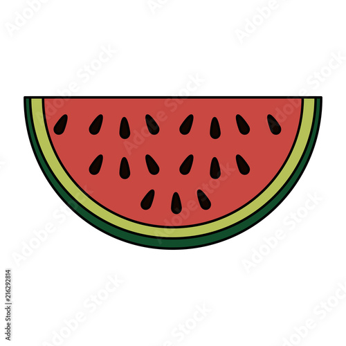 watermelon sliced fruit icon vector illustration design