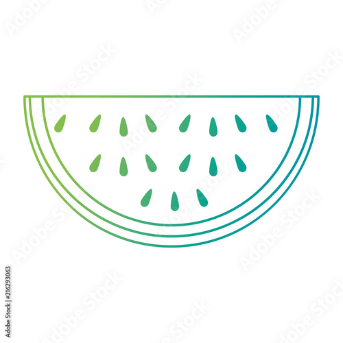 watermelon sliced fruit icon vector illustration design