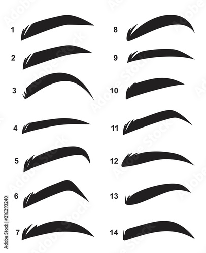 shape eyebrows vector