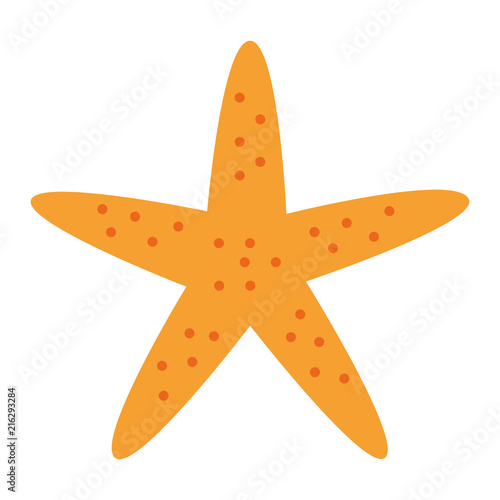 starfish animal beach icon vector illustration design