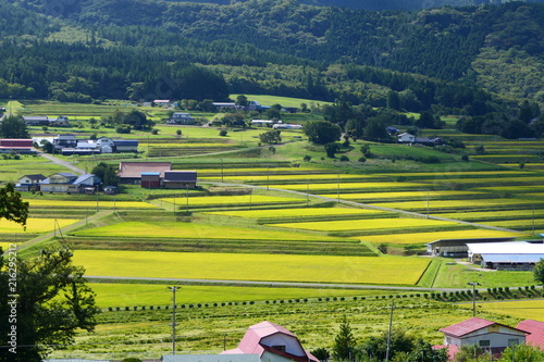 収穫の季節。秋の山村。遠野　岩手　日本。９月下旬。 photo