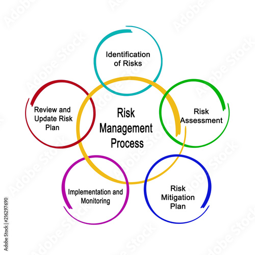 Risk Management Process.