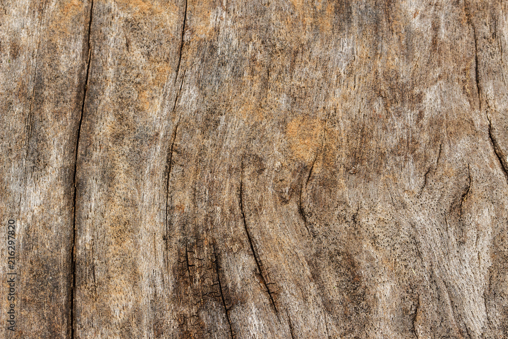 Obraz premium Texture of old wooden natural background