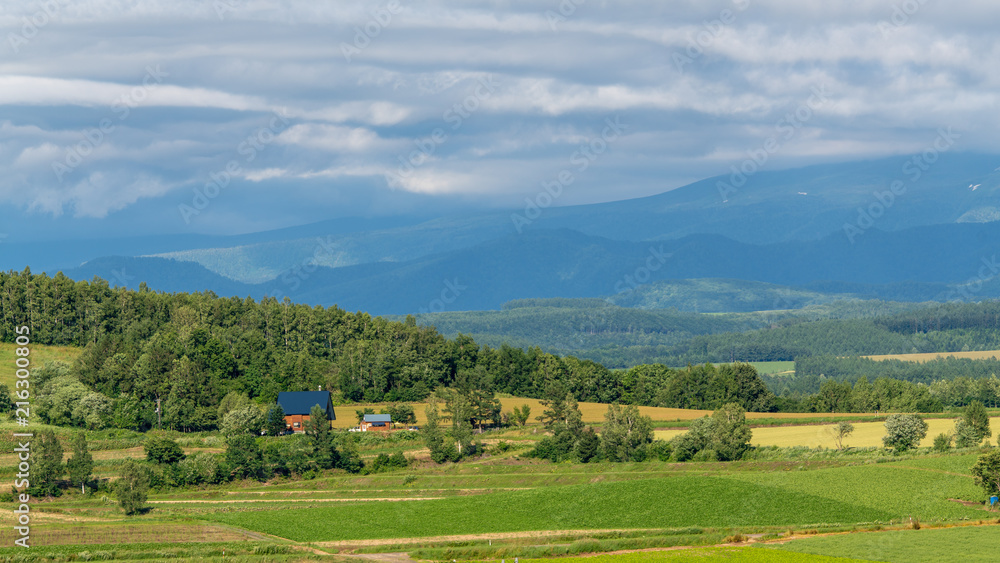 Panoramic view of Patchwork road in Biei with mountain range in background