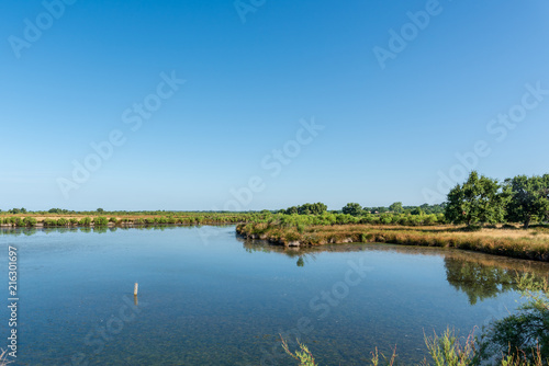 BASSIN D'ARCACHON (France), paysage de marais