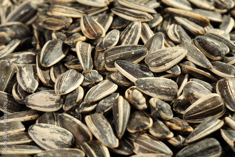 Extreme close up of freshly roasted and salted non-oilseed sunflower seeds (confections). Extreme close up of freshly roasted and salted non-oilseed sunflower seeds (confections).