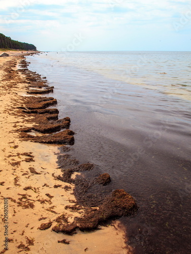 Baltic seaside near Karkle Lithuania