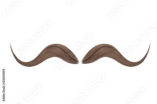 Brown mustache isolated on white background photo