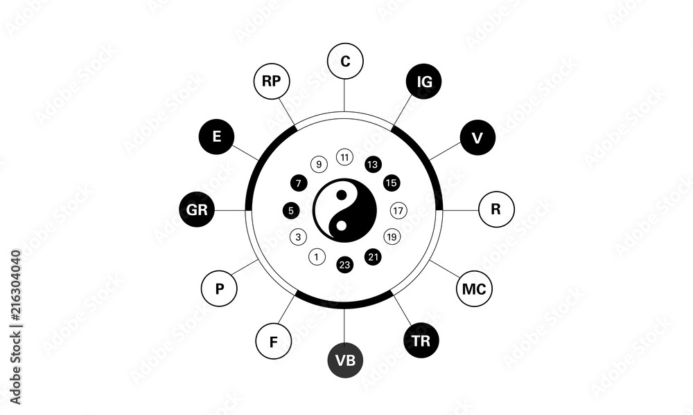 Horloge circadienne des méridiens du corps abrégée selon la médecine  chinoise. Indication yin /white yang /black. Les lettres représente le nom  des organes concernés Stock Vector | Adobe Stock
