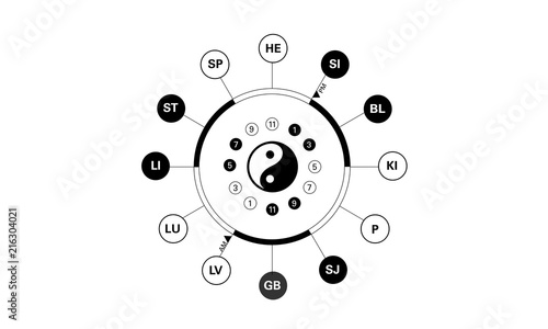 Condensed Circadian clock of the main meridians of the body according to Chinese medicine - 12 hours. Black is yin, white is yang