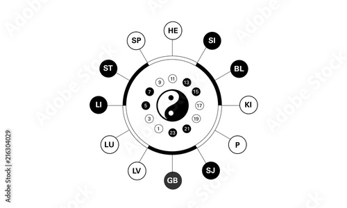 Condensed Circadian clock of the main meridians of the body according to Chinese medicine - 24 hours