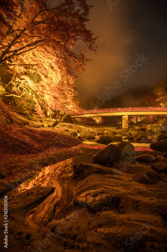 愛知県 香嵐渓 紅葉