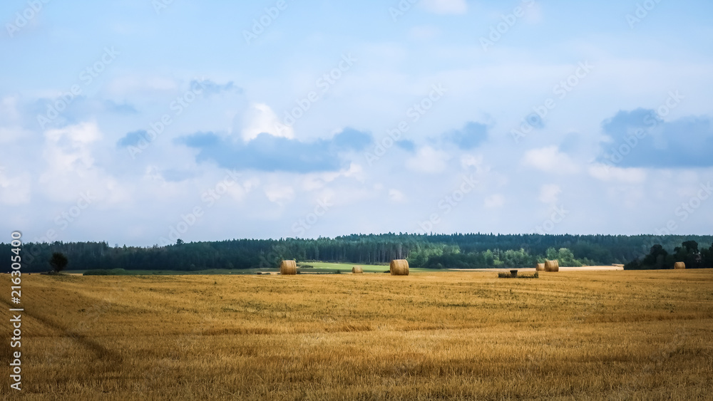 Beautiful open landscape. Hay bales scattered on a farmer's field. Sweden