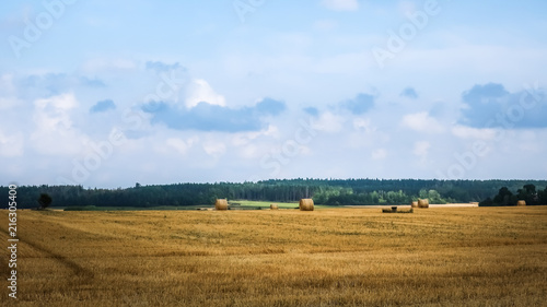 Beautiful open landscape. Hay bales scattered on a farmer s field. Sweden