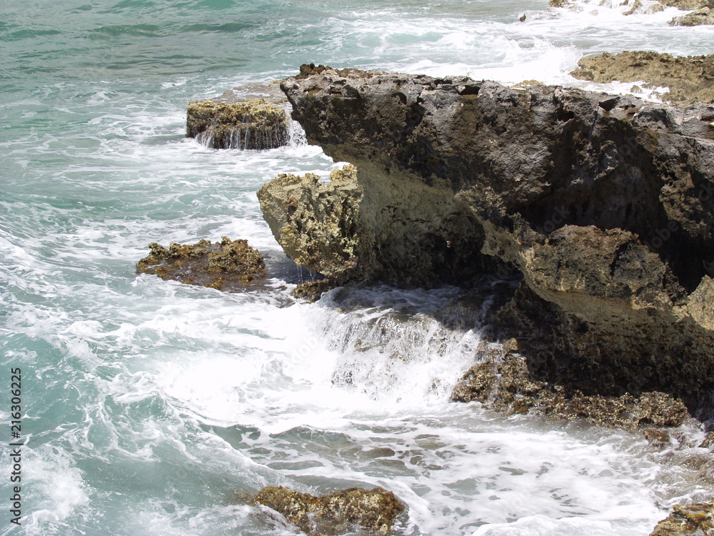 Fototapeta premium OLYMPUS DIGITAL CAMERA