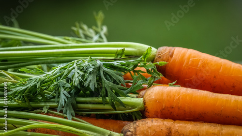 Close-up of bundle of carro...