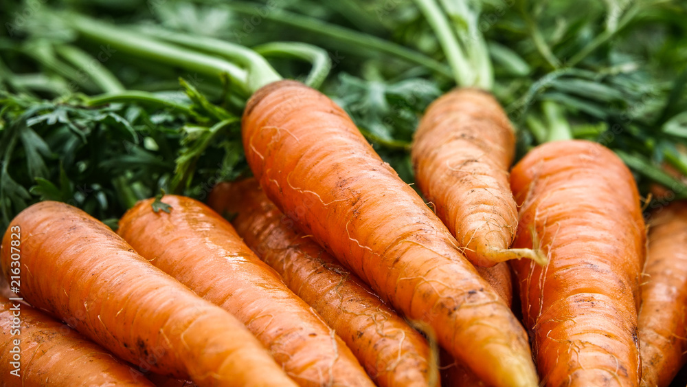 Close-up of bundle of carrots on a rustic wooden table. Concept for fresh vegetarian, organic raw food and harvest. Close-up of bundle of carrots on a rustic wooden table. Concept for fresh vegetarian, organic raw food and harvest.