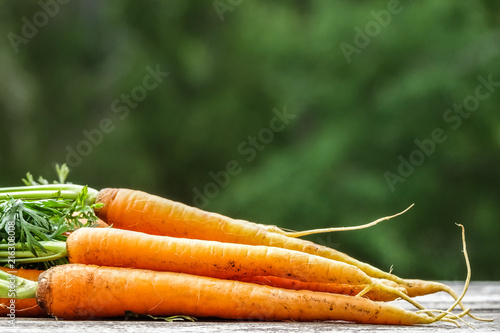 Close-up of bundle of carro...