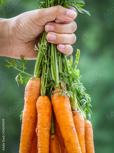 Hand holding a bundle of ca...