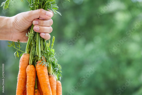 Hand holding a bundle of ca...