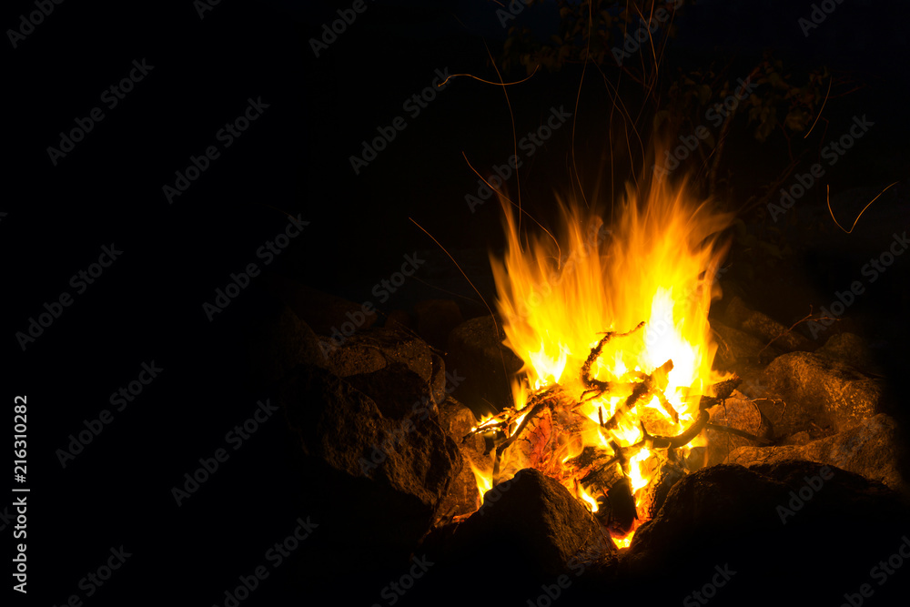 flame of a fire, in which natural brushwood burns, on a black background..