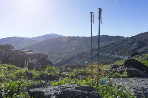 Fototapeta Naklejka Na Ścianę i Meble -  pair of trekking poles on the background of a mountain path traversing in the distance in the sunlight
