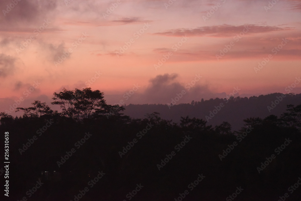 Pink Misty Jungle Skyscape