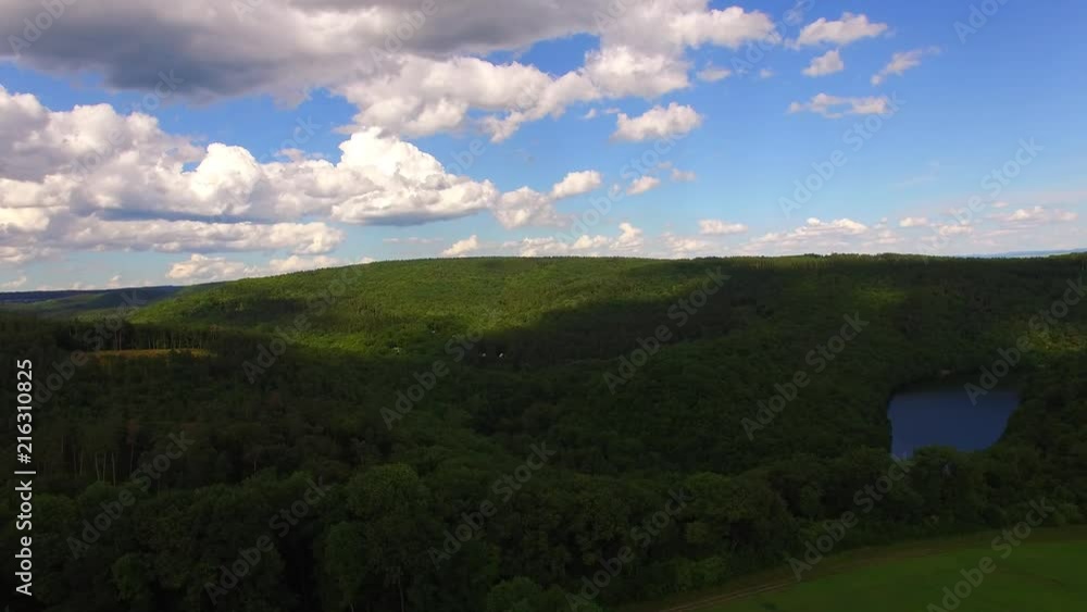 Summer warm sun light forest aerial view