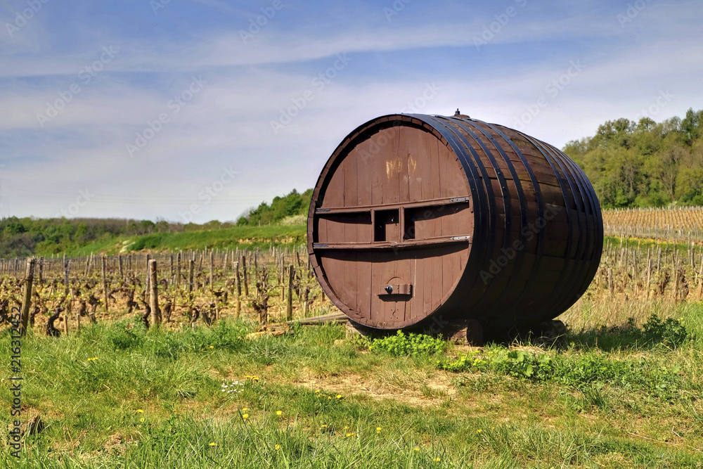Tonneau au milieu des vignes en Bourgogne.